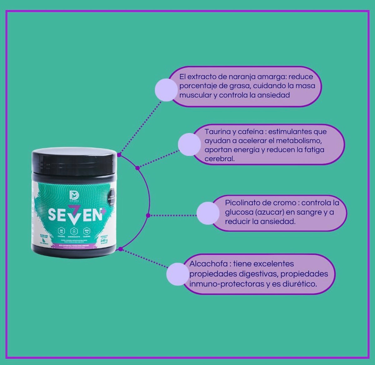 Setaven Plus SEVEN PLUS – Seven Plus